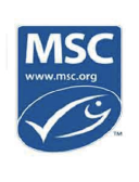 MSC